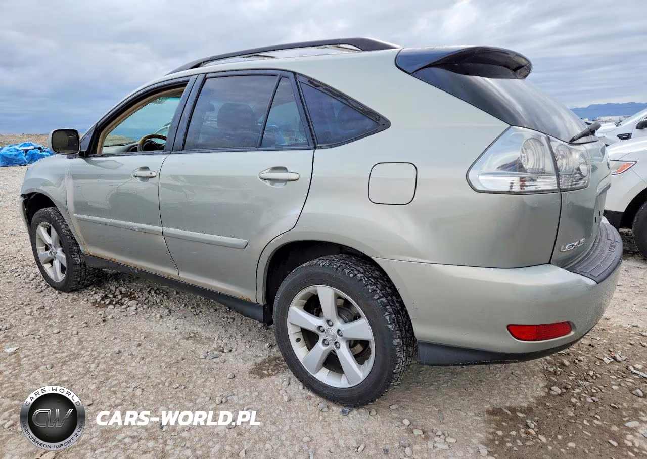 2004 Lexus Rx 330 VIN:JTJHA31UX40052273 - 2