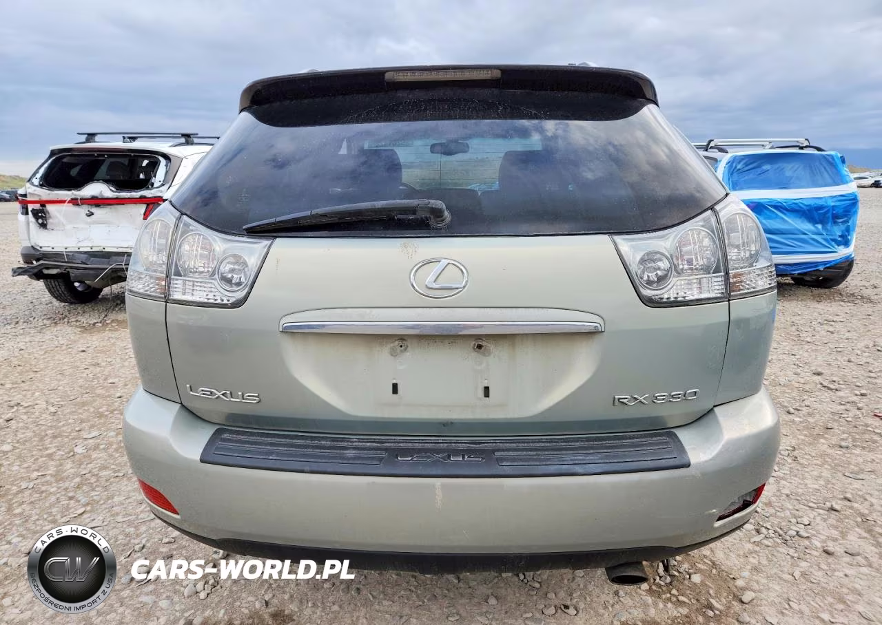 2004 Lexus Rx 330 VIN:JTJHA31UX40052273 - 6