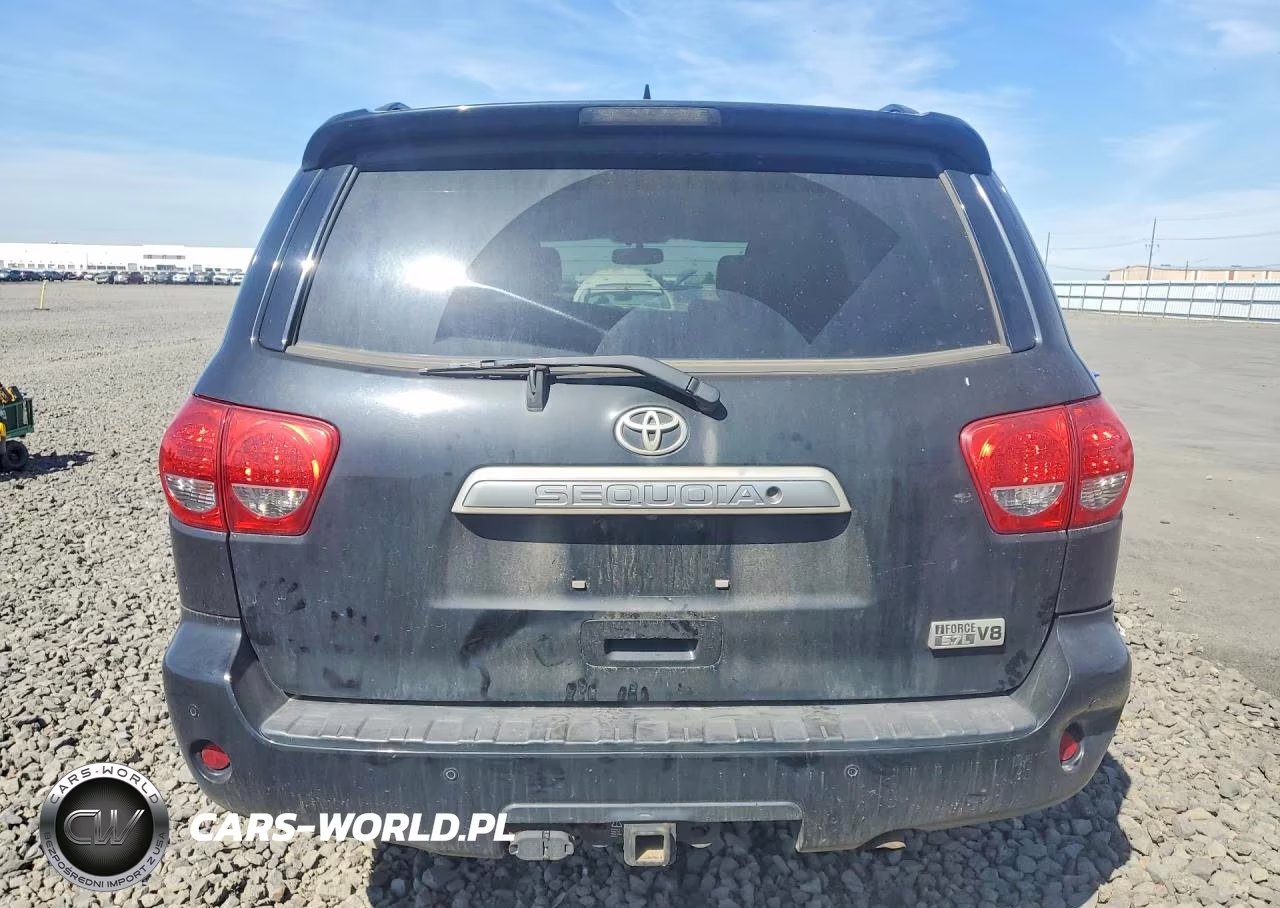 2017 Toyota Sequoia Platinum VIN:5TDDY5G11HS153288 - 6