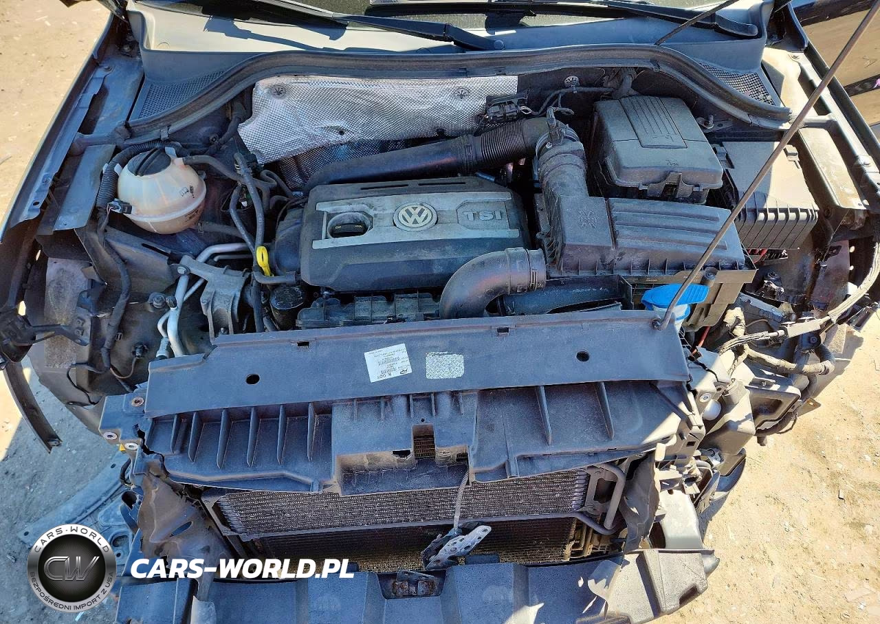 2014 Volkswagen Tiguan S VIN:WVGBV3AX2EW563493 - 11