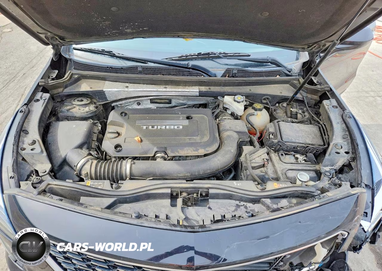 2019 Cadillac Xt4 Premium Luxury VIN:1GYFZDR42KF164342 - 12