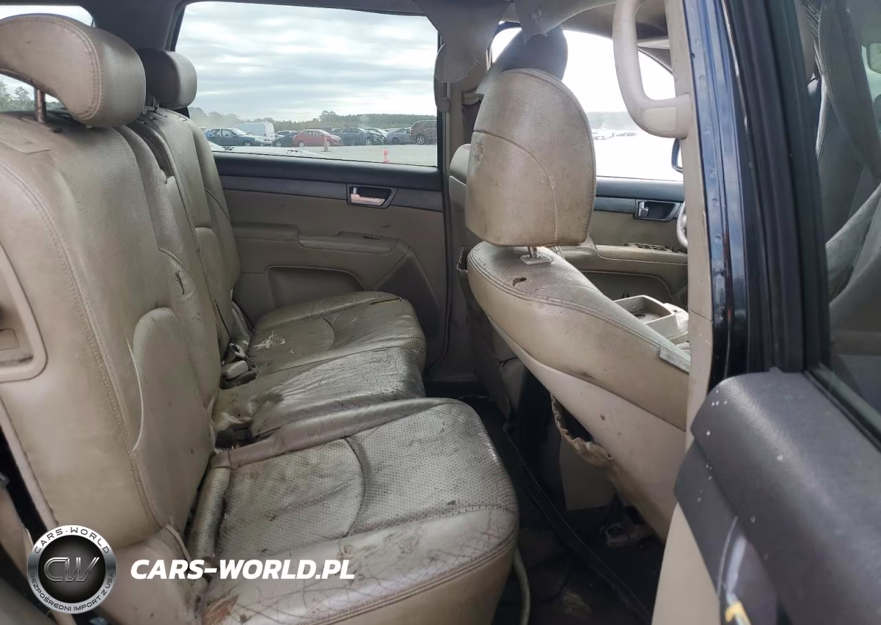 2009 Kia Borrego Lx VIN:KNDJJ741X95025646 - 11
