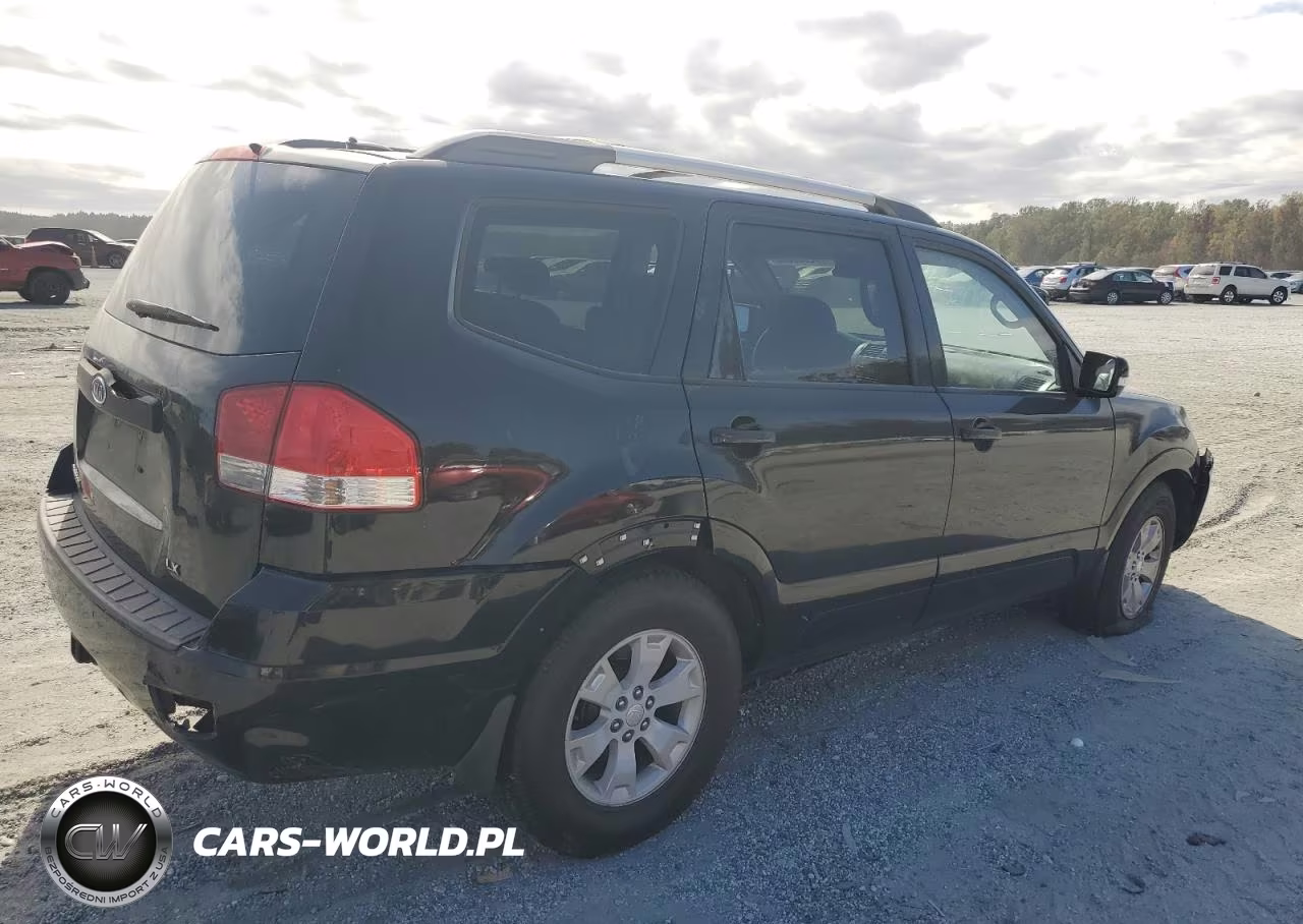 2009 Kia Borrego Lx VIN:KNDJJ741X95025646 - 3