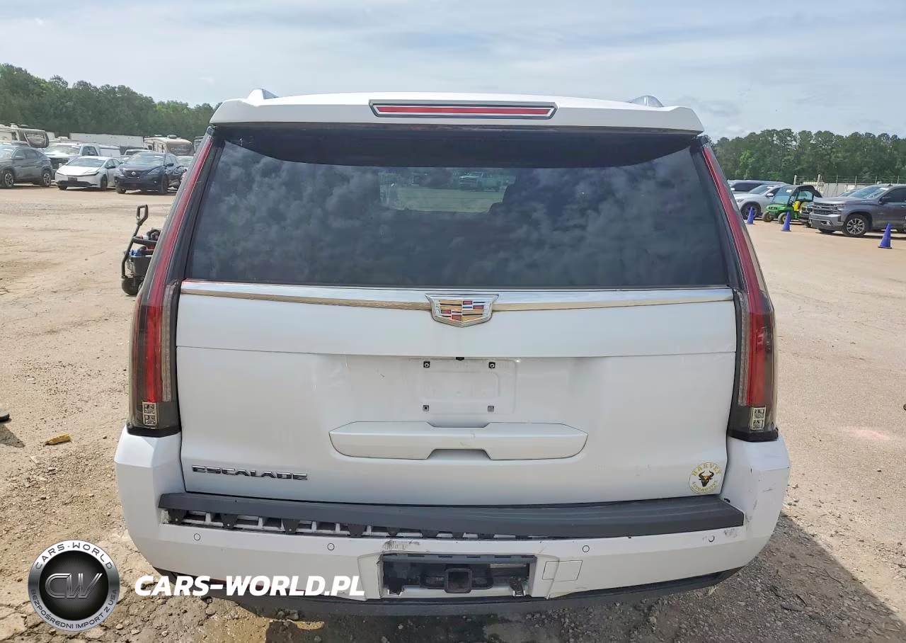 2016 Cadillac Escalade Esv Luxury VIN:1GYS3HKJ1GR137663 - 6