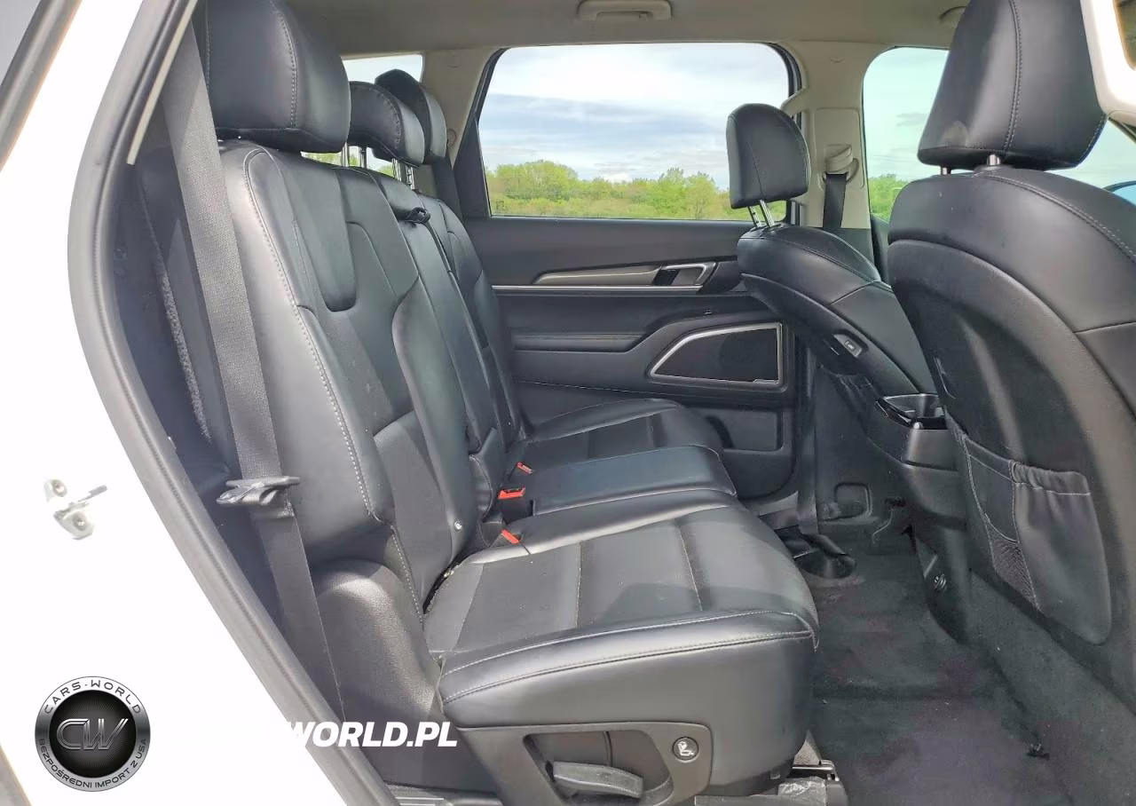 2020 Kia Telluride Lx VIN:5XYP2DHC3LG015797 - 11