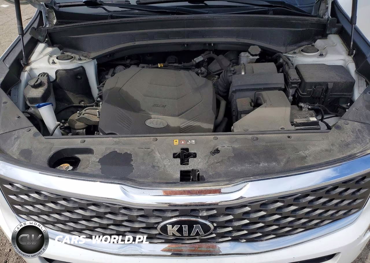 2020 Kia Telluride Lx VIN:5XYP2DHC3LG015797 - 12