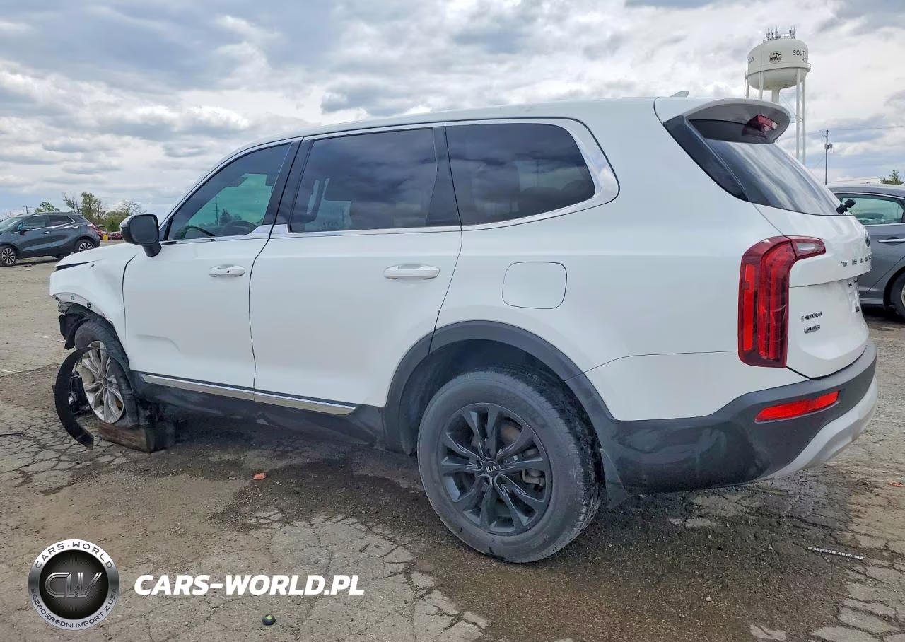2020 Kia Telluride Lx VIN:5XYP2DHC3LG015797 - 2