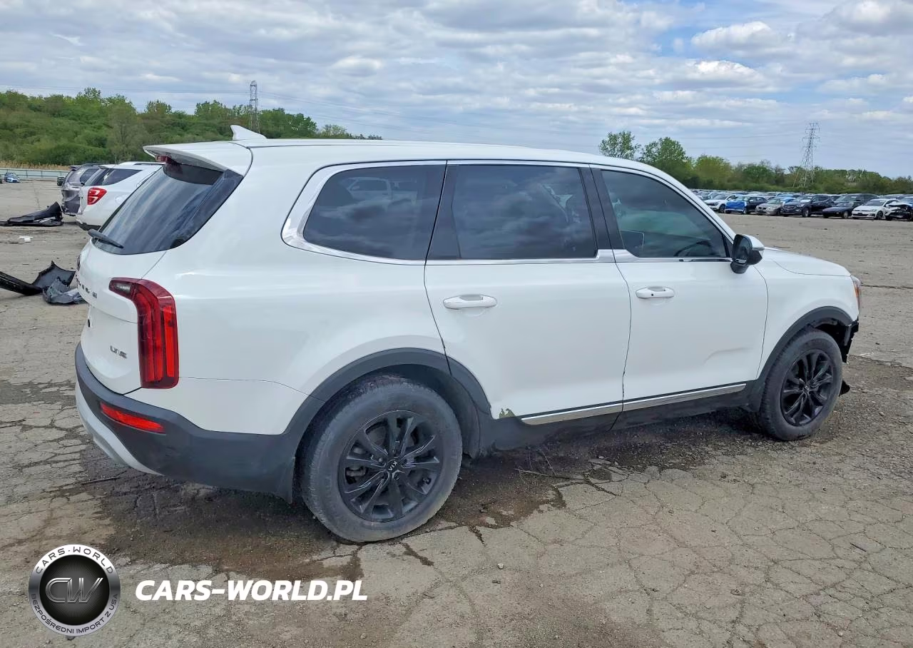 2020 Kia Telluride Lx VIN:5XYP2DHC3LG015797 - 3