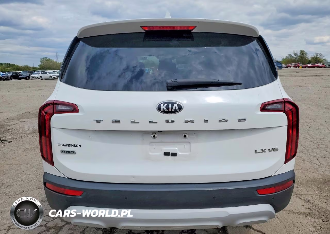 2020 Kia Telluride Lx VIN:5XYP2DHC3LG015797 - 6