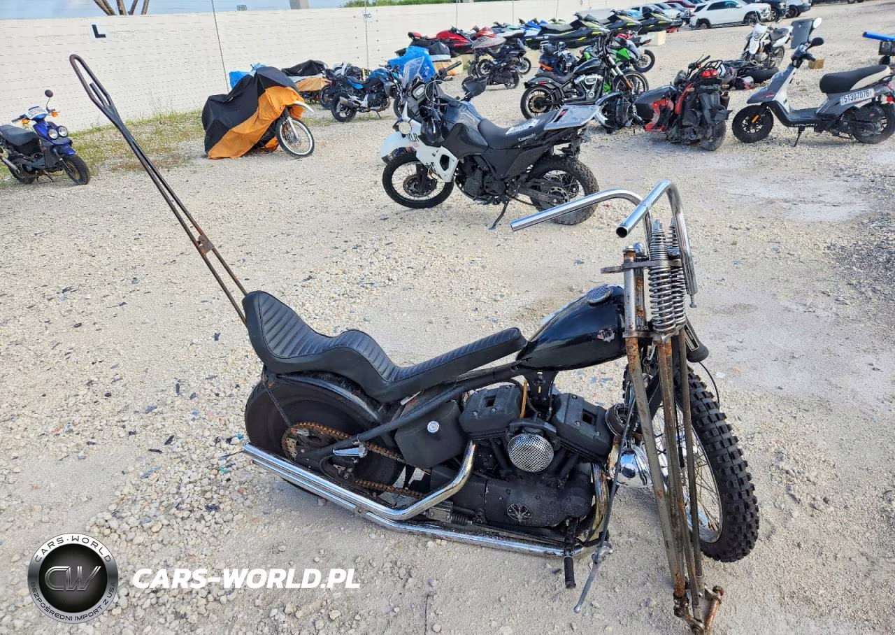 2003 Harley-Davidson Xl883 Hugger