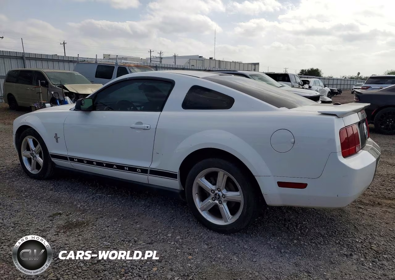 2008 Ford Mustang VIN:1ZVHT80N285120642 - 2