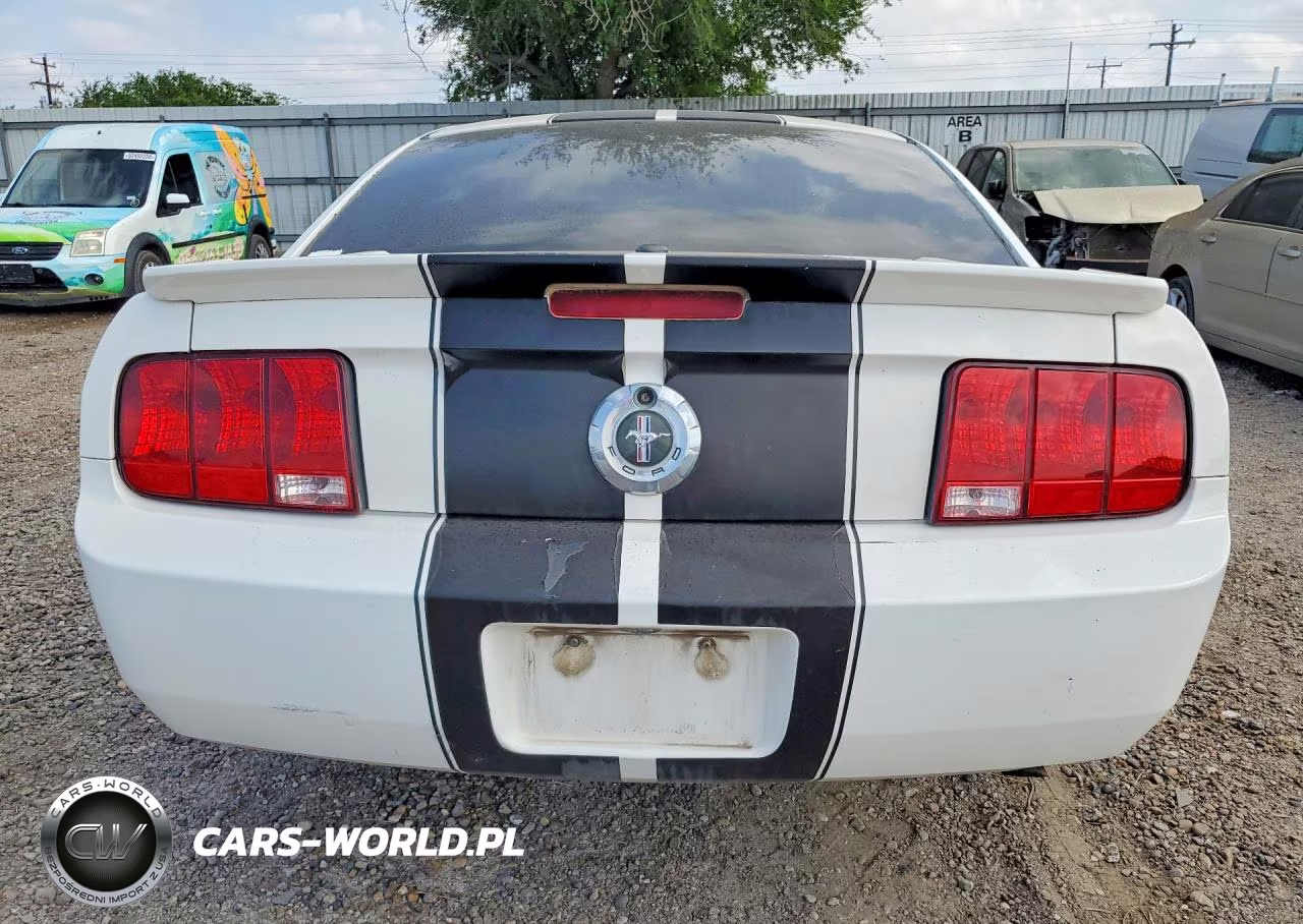2008 Ford Mustang VIN:1ZVHT80N285120642 - 6