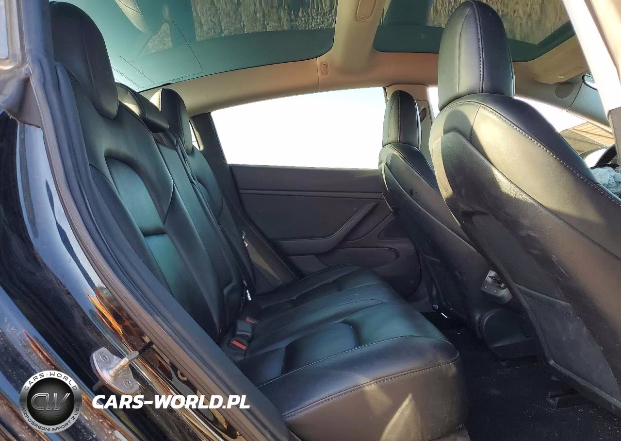 2019 Tesla Model 3 VIN:5YJ3E1EA1KF361893 - 10