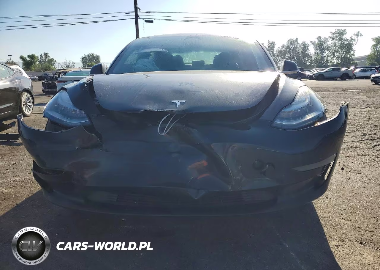 2019 Tesla Model 3 VIN:5YJ3E1EA1KF361893 - 5