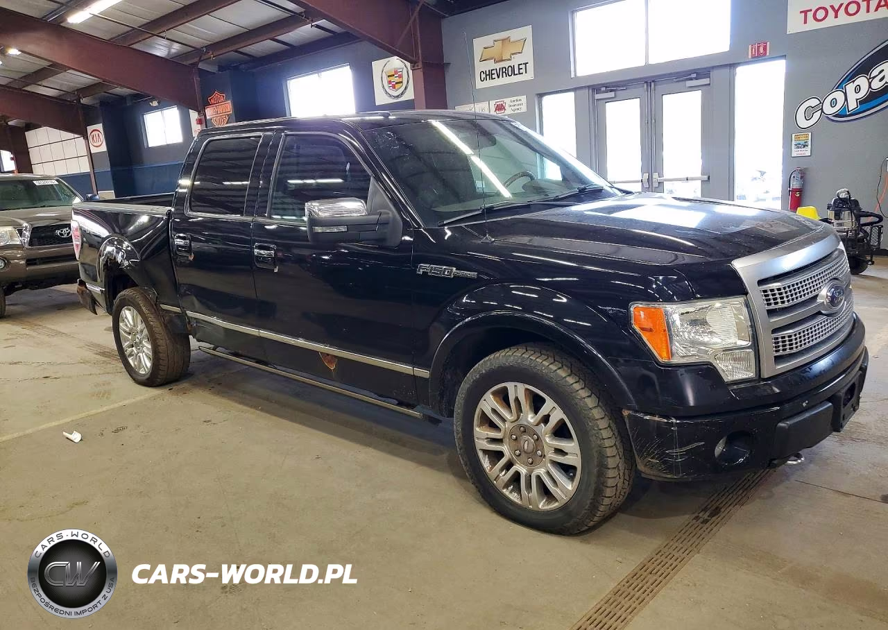 2009 Ford F150 Supercrew VIN:1FTPW14V09FA72559 - 4