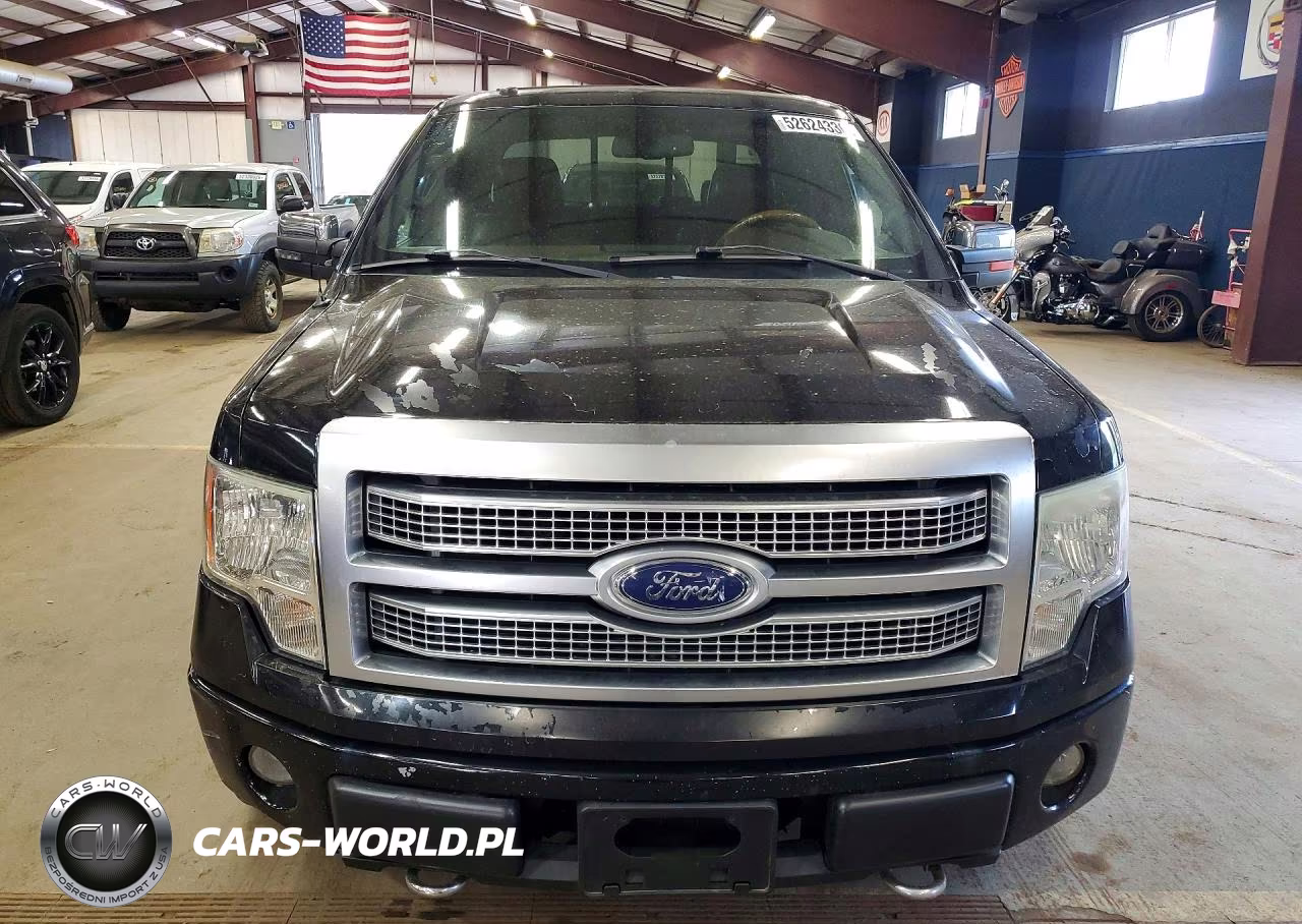 2009 Ford F150 Supercrew VIN:1FTPW14V09FA72559 - 5