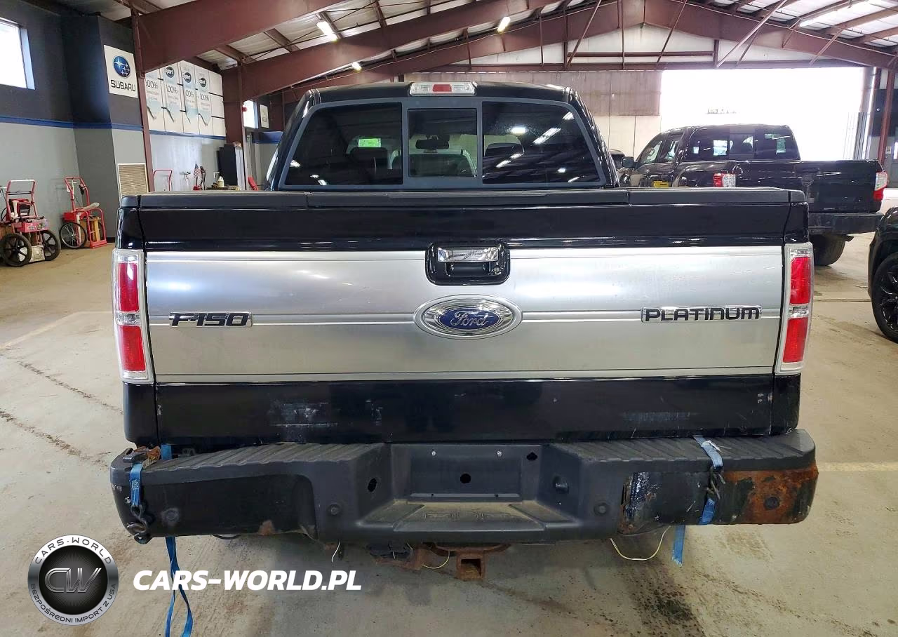 2009 Ford F150 Supercrew VIN:1FTPW14V09FA72559 - 6