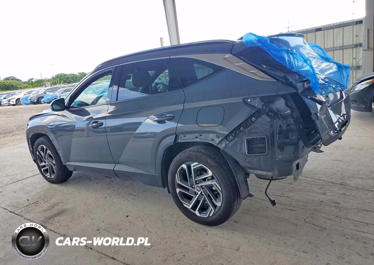 2025 Hyundai Tucson Limited VIN:5NMJE3DE8SH486525 - 2