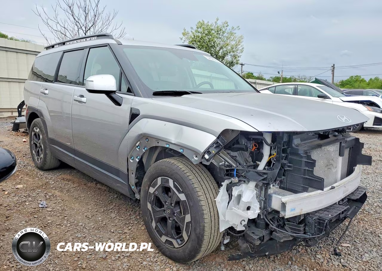 2024 Hyundai Santa Fe Sel VIN:5NMP2DGL0RH024795 - 4