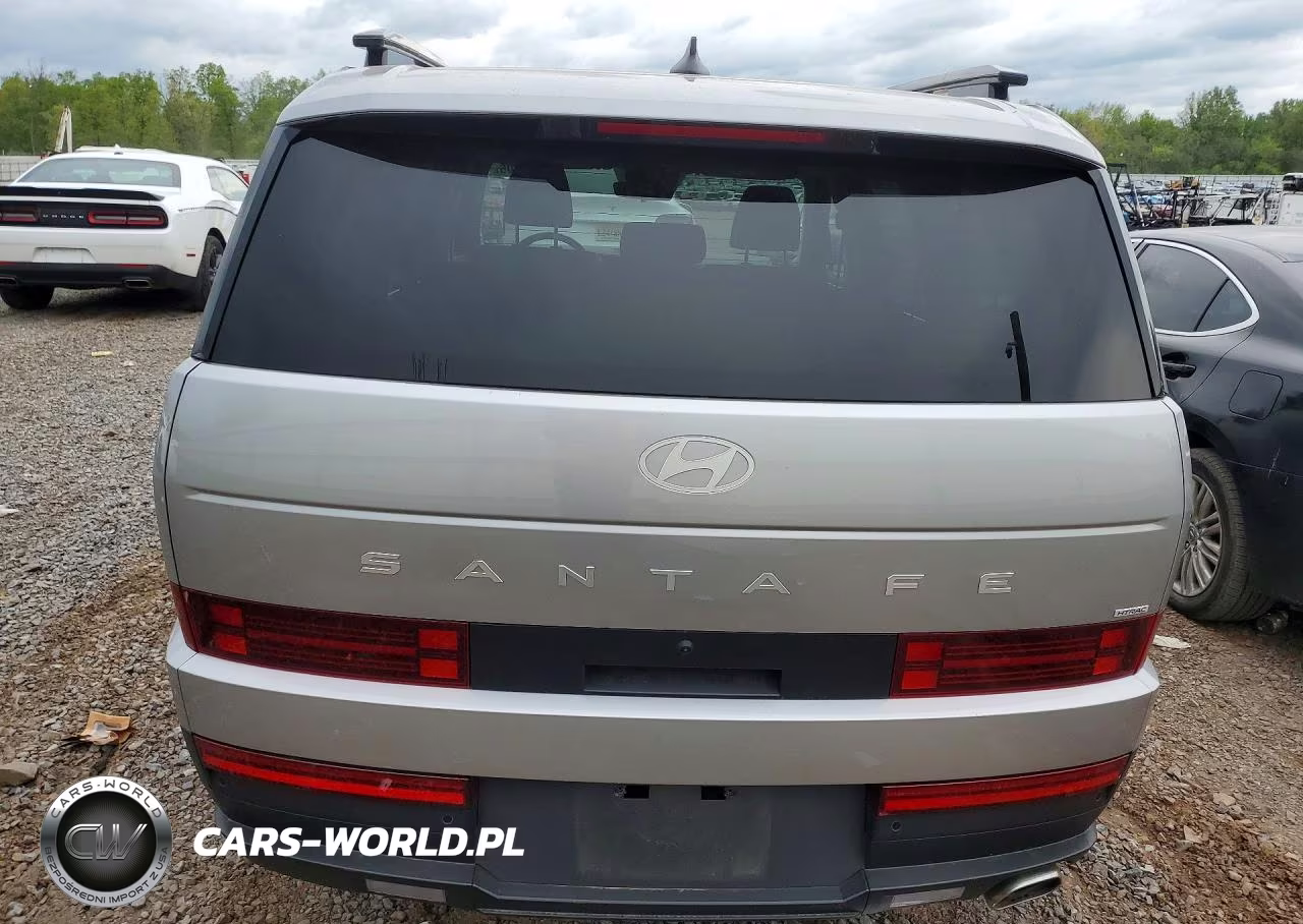 2024 Hyundai Santa Fe Sel VIN:5NMP2DGL0RH024795 - 6
