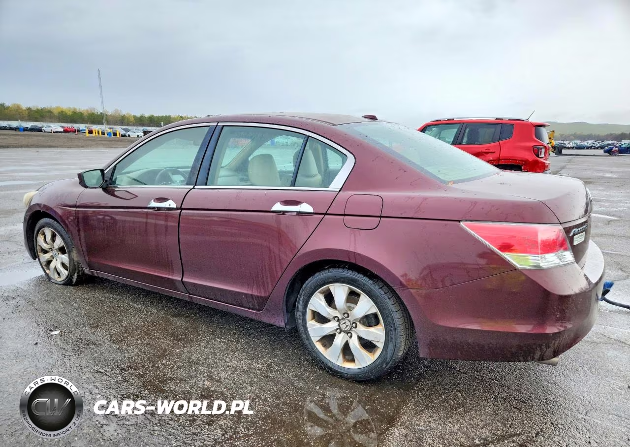 2010 Honda Accord Exl VIN:5KBCP3F83AB016091 - 2