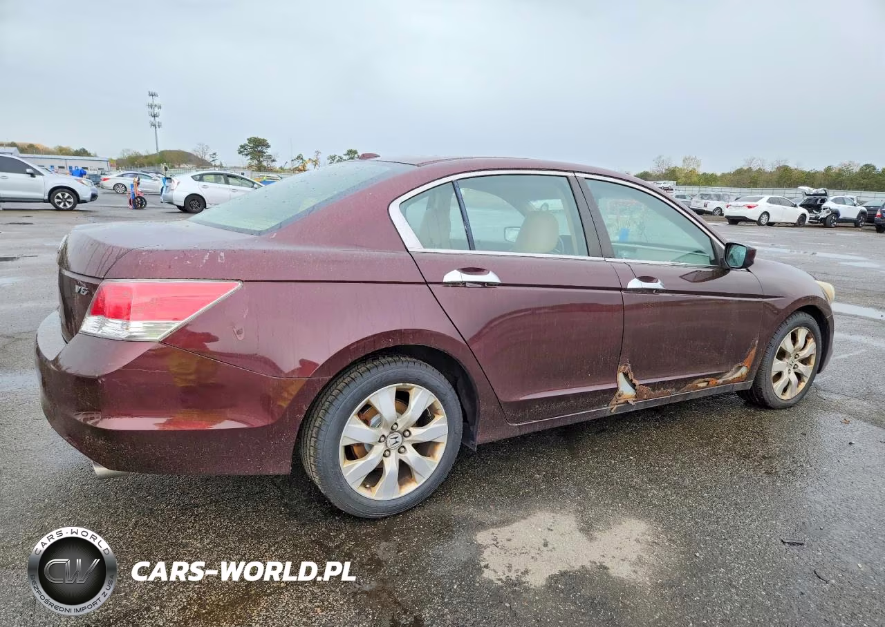 2010 Honda Accord Exl VIN:5KBCP3F83AB016091 - 3