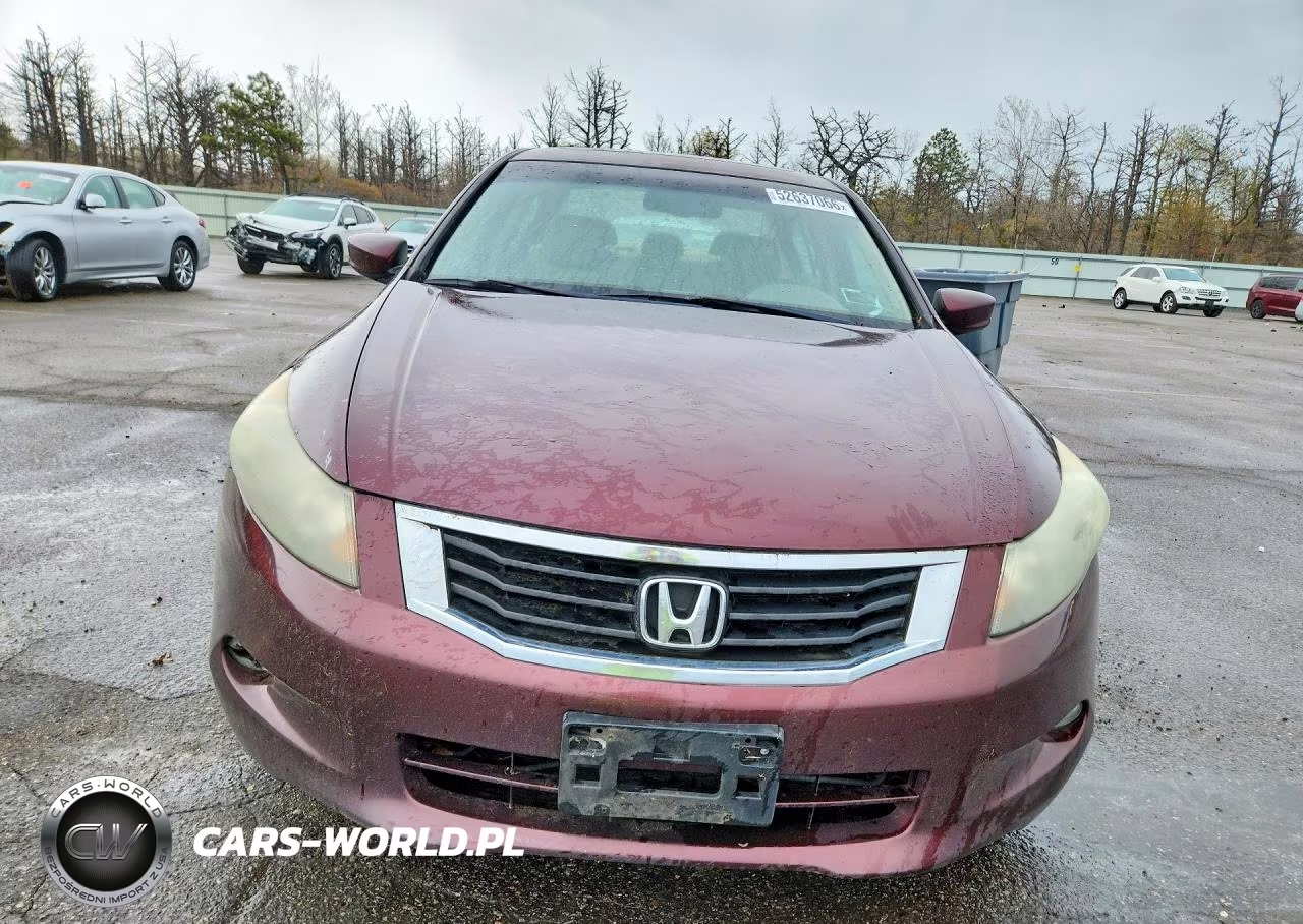 2010 Honda Accord Exl VIN:5KBCP3F83AB016091 - 5