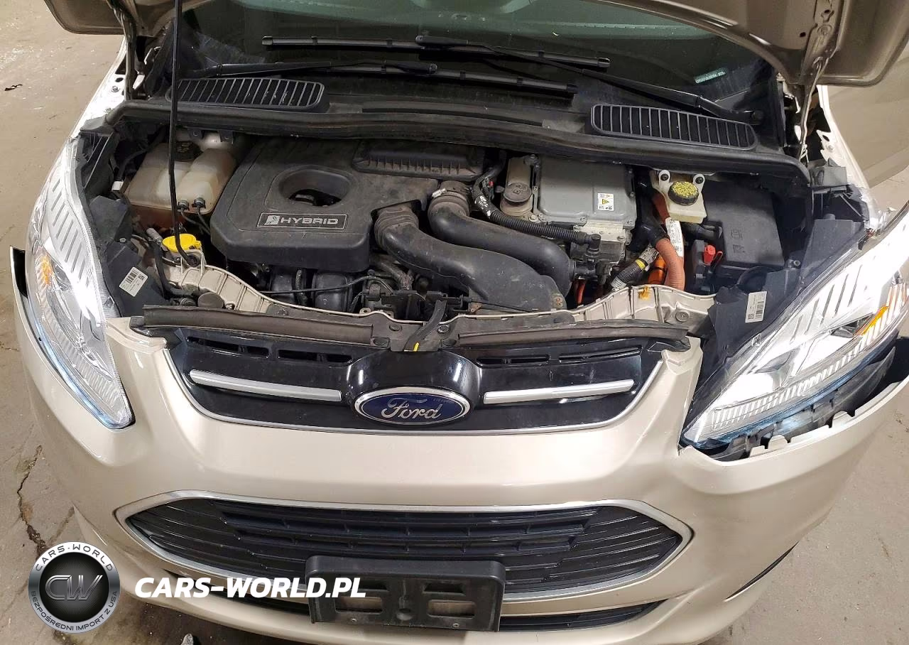 2018 Ford C-Max Se VIN:1FADP5AU1JL103154 - 12