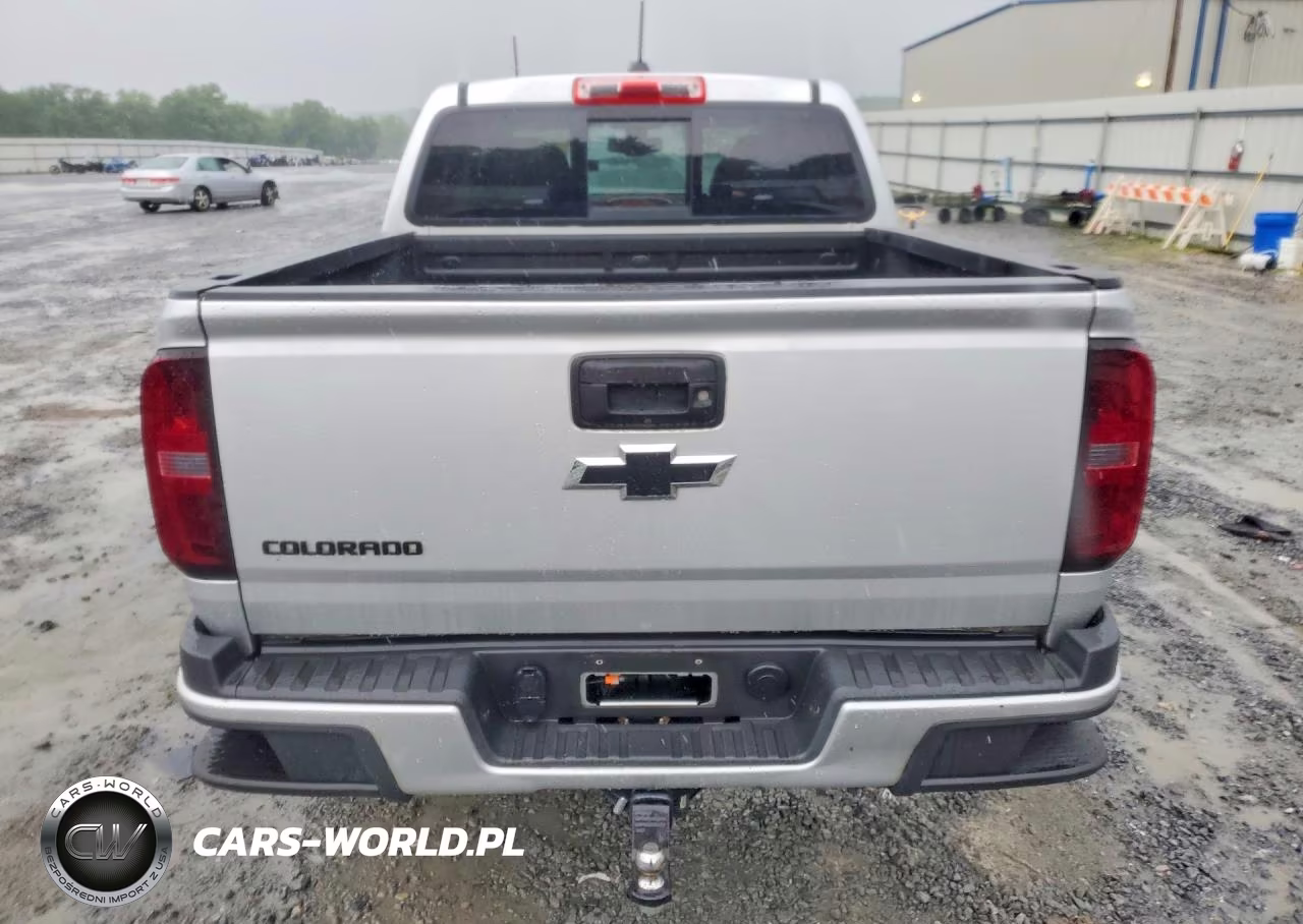 2019 Chevrolet Colorado Lt VIN:1GCGTCEN9K1269249 - 6