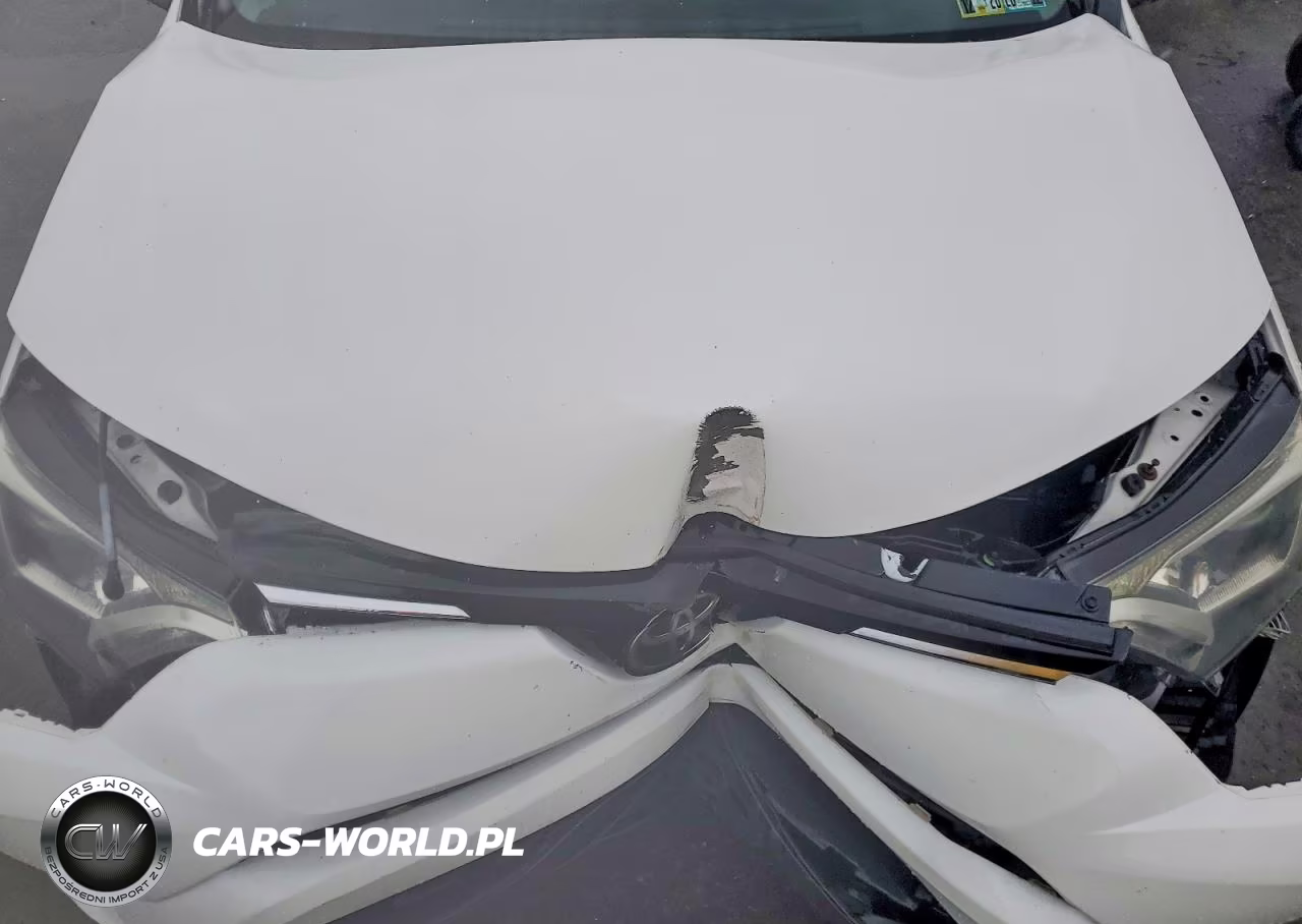 2017 Toyota Rav4 Le VIN:JTMBFREV0HJ124789 - 12