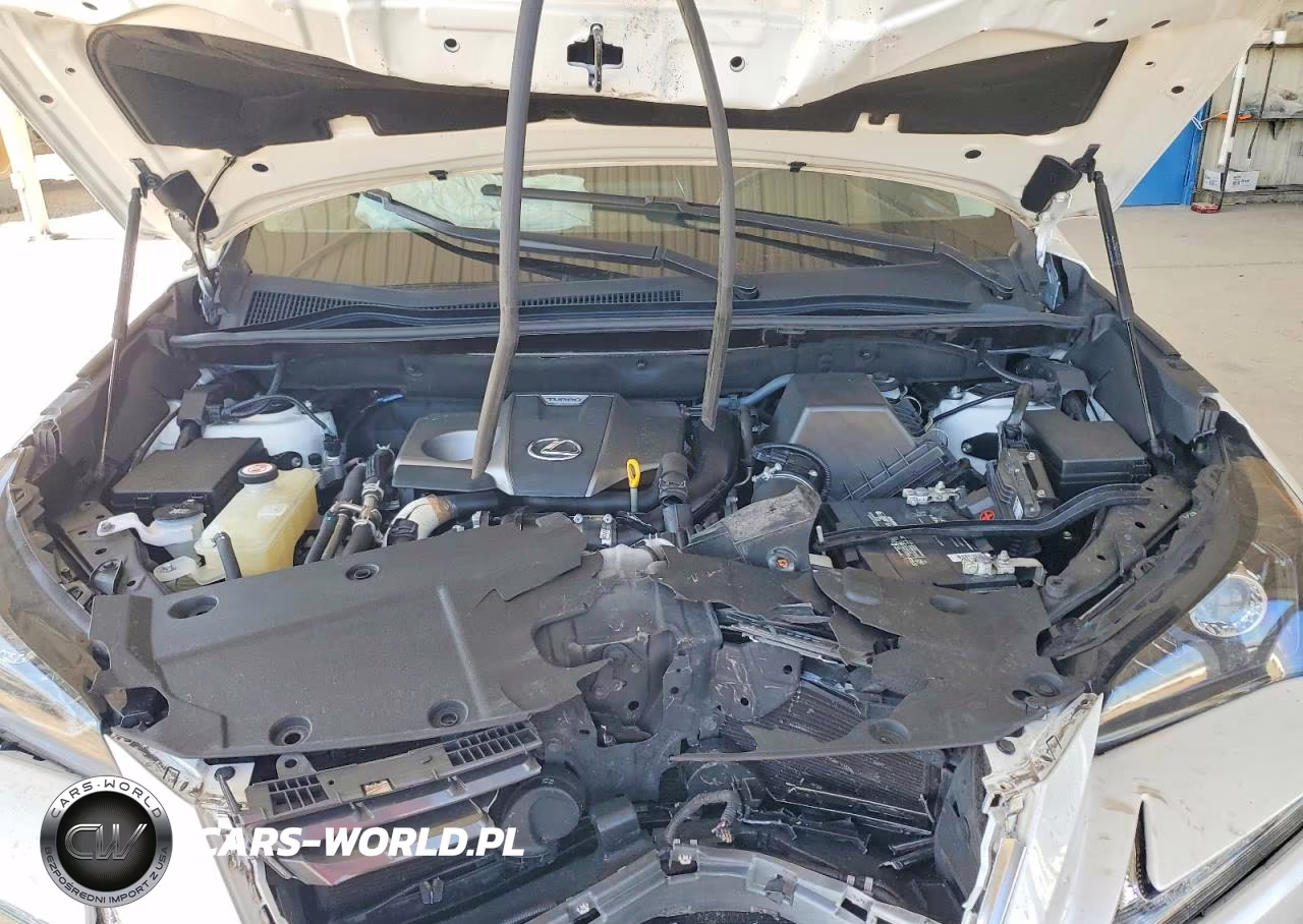 2021 Lexus Nx 300 Base VIN:JTJDARBZ6M5031662 - 12