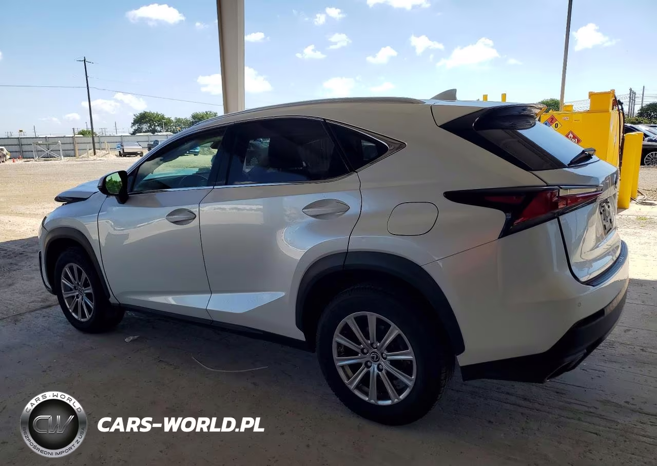 2021 Lexus Nx 300 Base VIN:JTJDARBZ6M5031662 - 2
