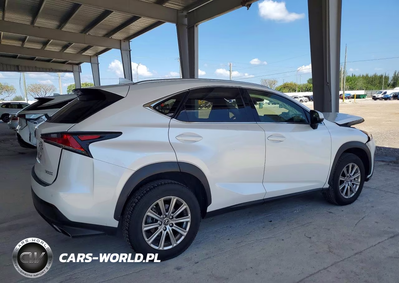 2021 Lexus Nx 300 Base VIN:JTJDARBZ6M5031662 - 3