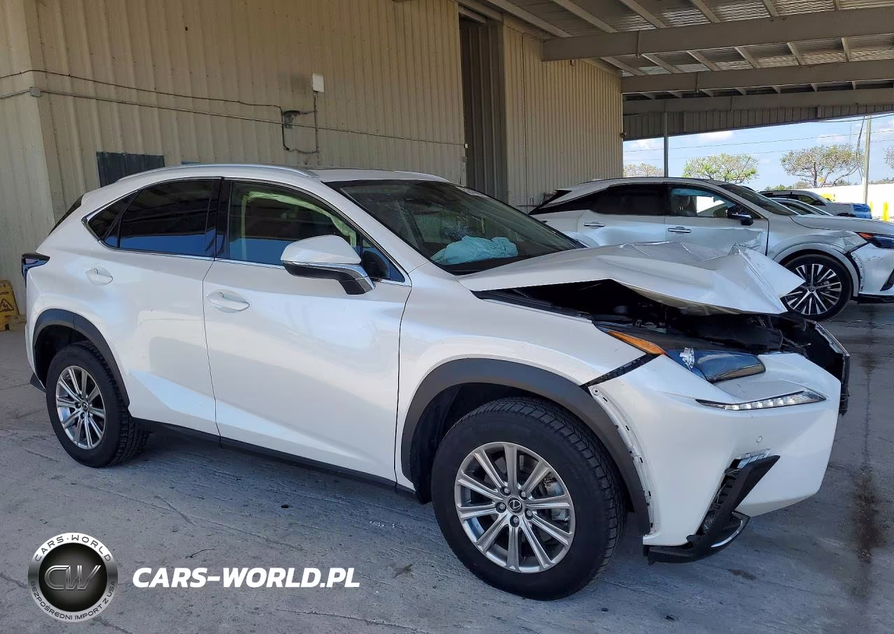2021 Lexus Nx 300 Base VIN:JTJDARBZ6M5031662 - 4