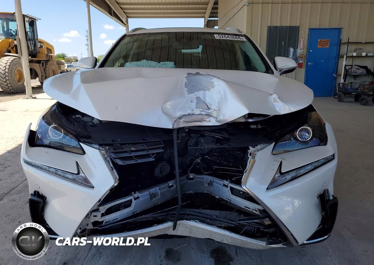 2021 Lexus Nx 300 Base VIN:JTJDARBZ6M5031662 - 5