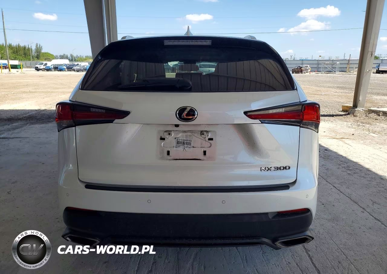 2021 Lexus Nx 300 Base VIN:JTJDARBZ6M5031662 - 6