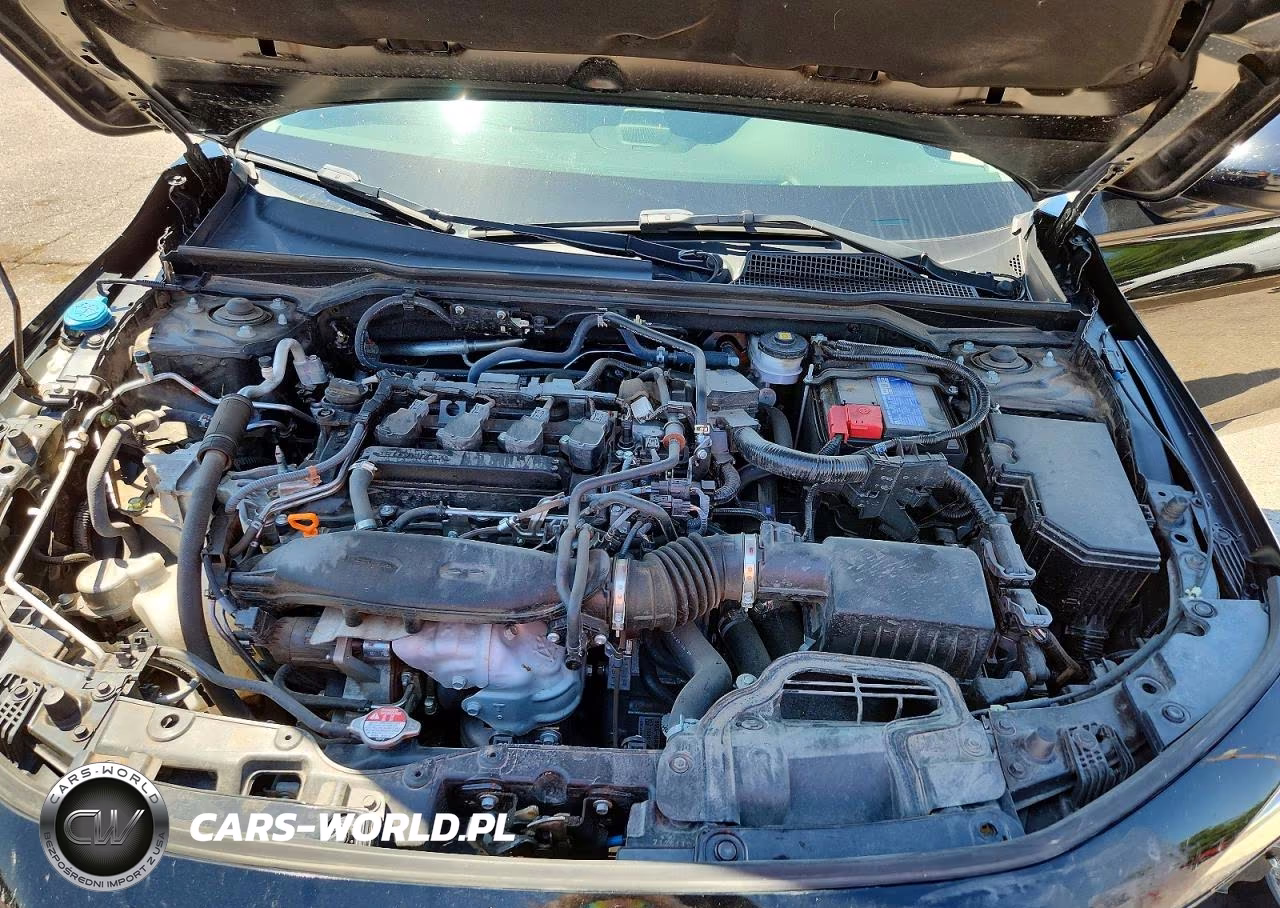 2024 Honda Civic Exl VIN:19XFL1H78RE017688 - 11