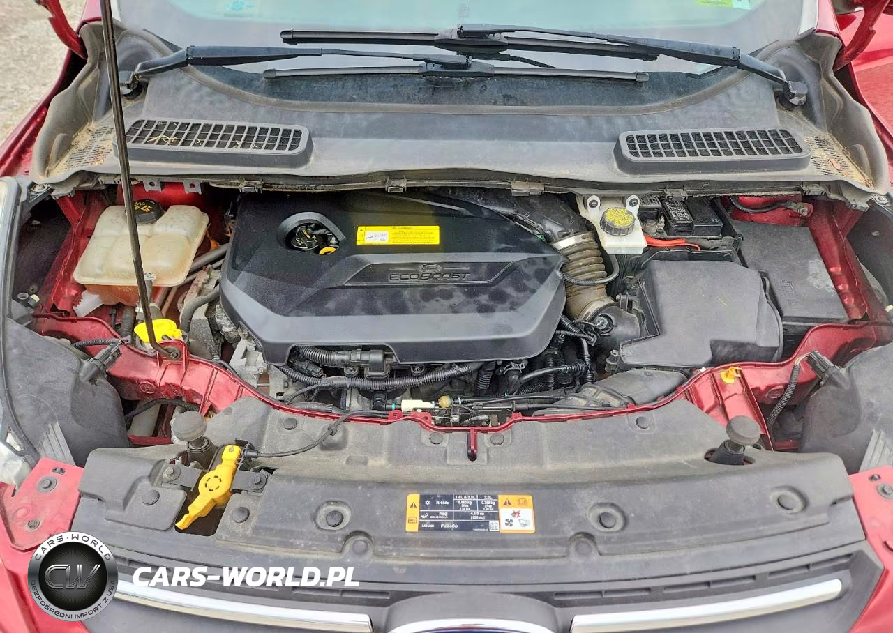 2016 Ford Escape Se VIN:1FMCU0GXXGUC36349 - 12