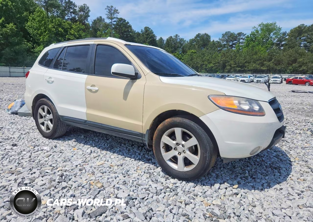 2007 Hyundai Santa Fe Se VIN:5NMSH13E47H086003 - 4