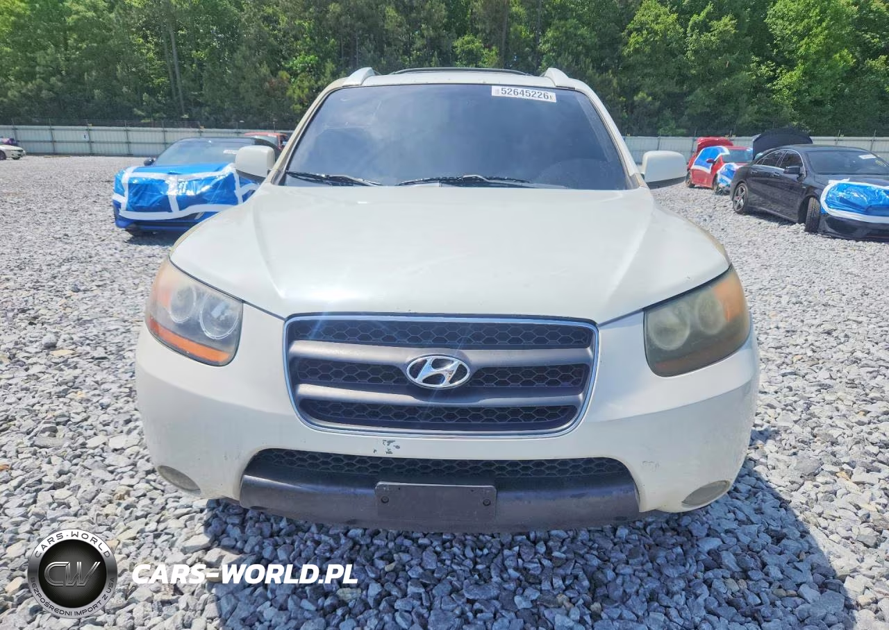 2007 Hyundai Santa Fe Se VIN:5NMSH13E47H086003 - 5