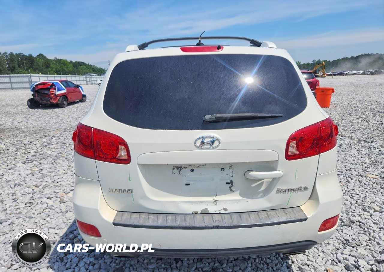 2007 Hyundai Santa Fe Se VIN:5NMSH13E47H086003 - 6