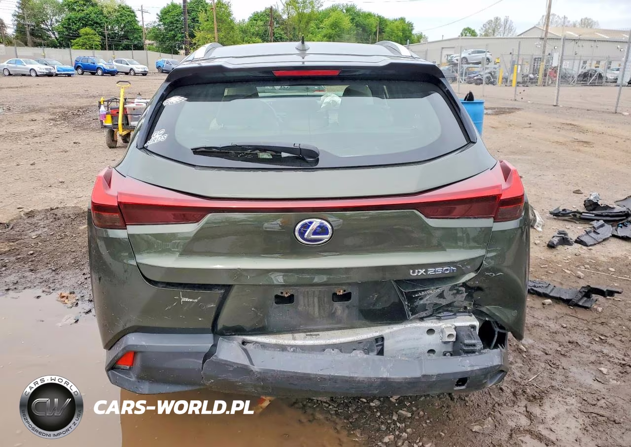 2020 Lexus Ux 250H VIN:JTHP9JBH3L2027018 - 6