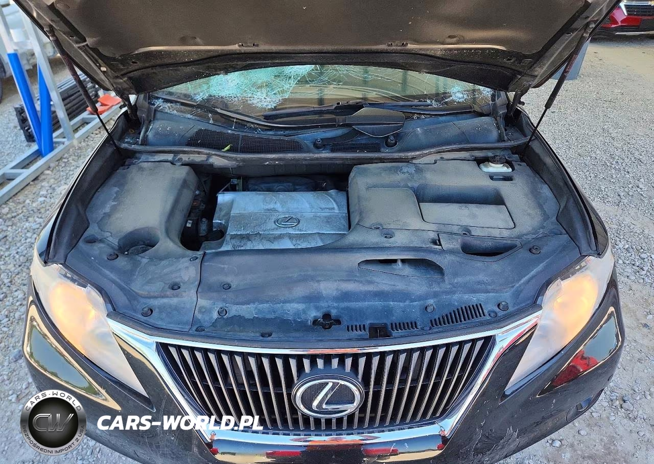2010 Lexus Rx 350 VIN:2T2BK1BA2AC050786 - 12