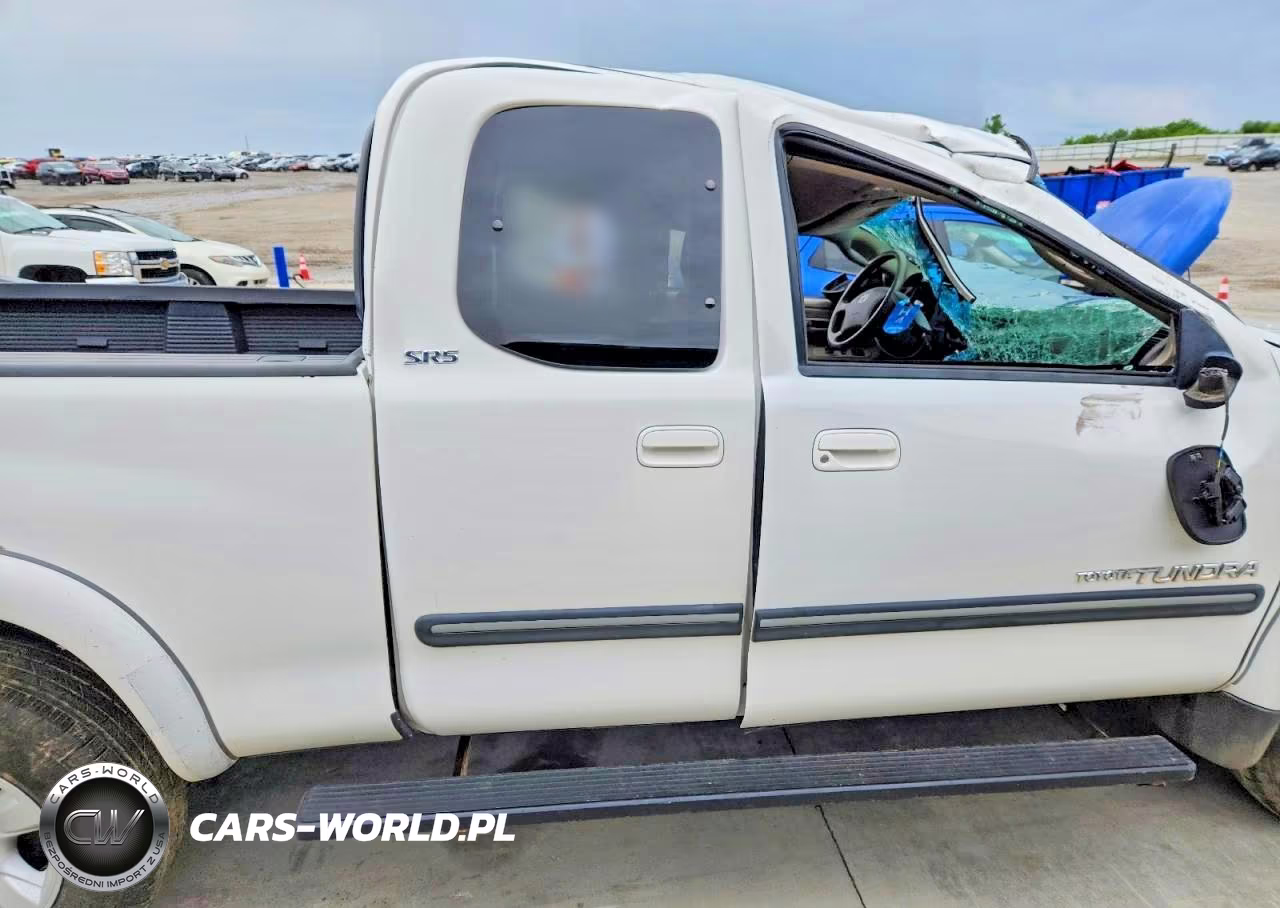2006 Toyota Tundra Access Cab Sr5 VIN:5TBBT44196S486266 - 10