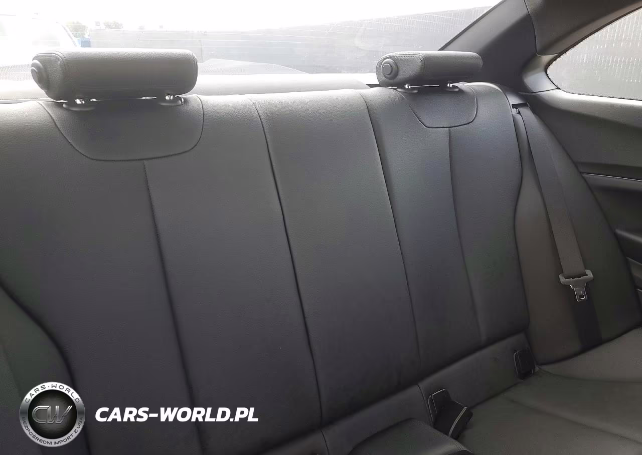 2014 BMW 228 I VIN:WBA1F5C53EV256065 - 10