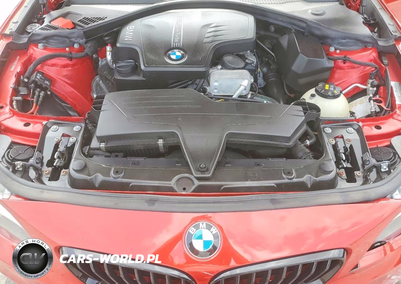 2014 BMW 228 I VIN:WBA1F5C53EV256065 - 11