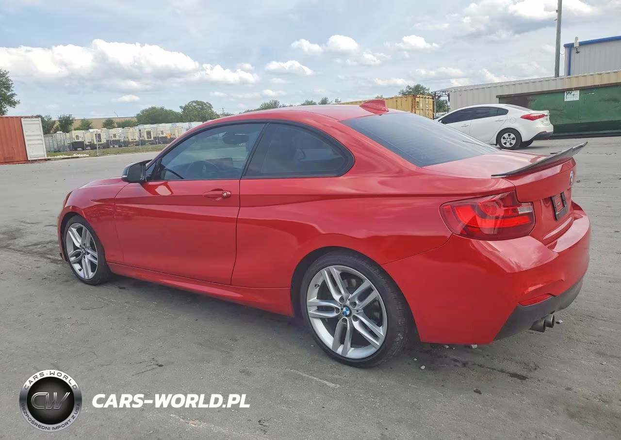 2014 BMW 228 I VIN:WBA1F5C53EV256065 - 2