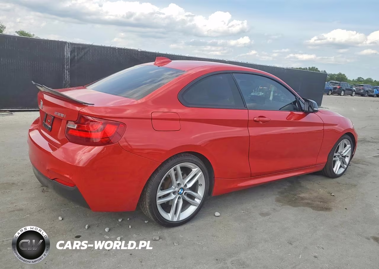 2014 BMW 228 I VIN:WBA1F5C53EV256065 - 3