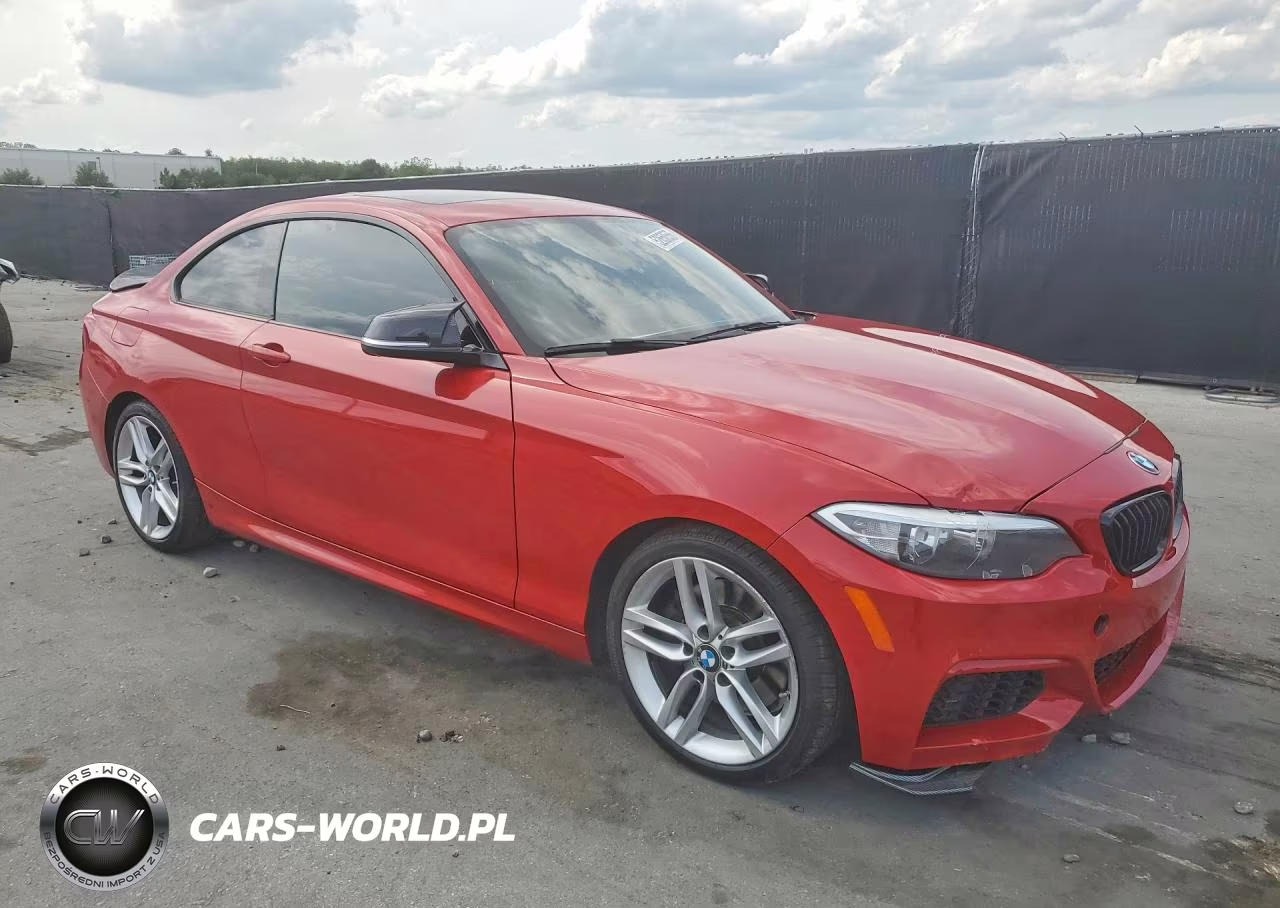 2014 BMW 228 I VIN:WBA1F5C53EV256065 - 4