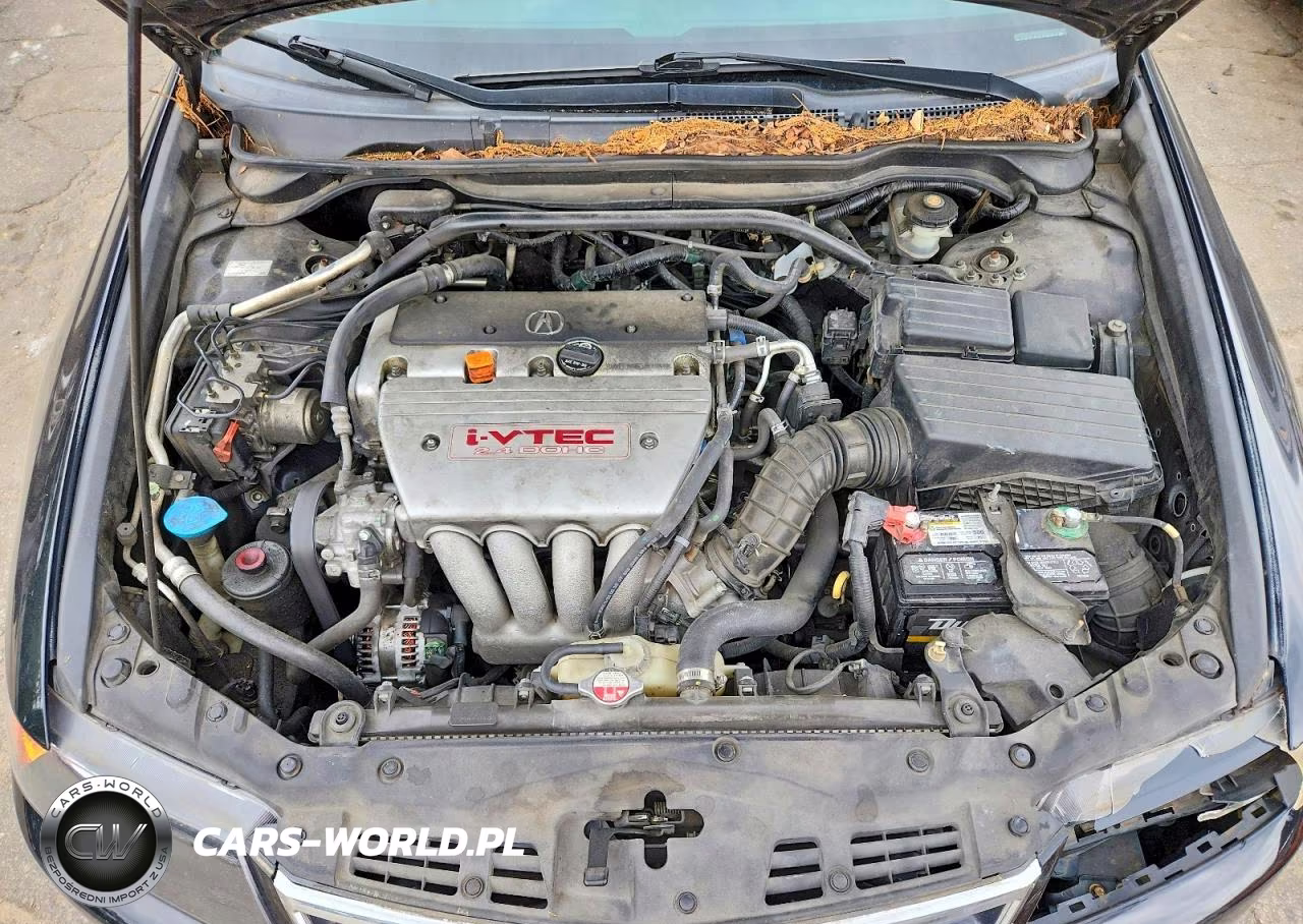 2008 Acura Tsx VIN:JH4CL96858C012661 - 11